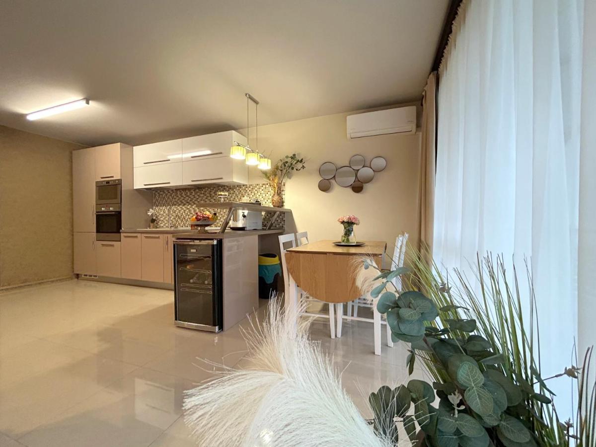 Thea Apartment Timişoara Extérieur photo